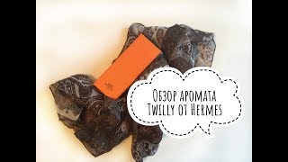 Hermes Обзор аромата Twilly [upl. by Atsyrhc]