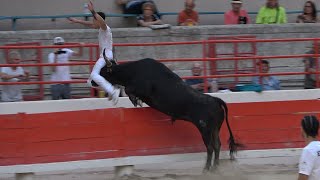 BEAUCAIRE28062024Course CamarguaiseAvenir [upl. by Ilsel295]