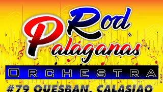 Rod Palaganas Orchestra 2023 Balingasay Fiesta 2023 [upl. by Anyrtak]