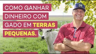 COMO GANHAR DINHEIRO EM PEQUENAS ÁREAS [upl. by Hildebrandt528]