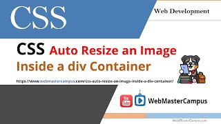 CSS Auto Resize an Image Inside a Div Container [upl. by Cooley]