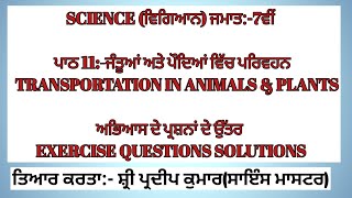 Transportation in animals and plantsCh11 Scienceclass 7thExercise solutions in punjabi [upl. by Cassil]