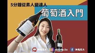 『葡萄酒入門』—5分鐘讓你從素人變達人｜酒鬼尼大｜ [upl. by Bauske724]