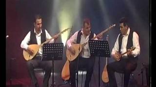 Turkish Folk Music Telli Turnam [upl. by Ynoep]