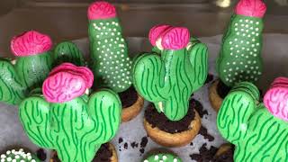 MAKING CACTUS MACARONS [upl. by Ojimmas]