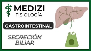 Clase 51 Fisiología Gastrointestinal  Secreción Biliar IGdoctorpaiva [upl. by Ayekin491]