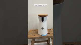 amazon Cat Food Dispenser Review cat gadgetobsession gadgets [upl. by Audley]