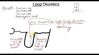 Loop Diuretics simple explaination in Hindi  Bhushan Science [upl. by Nybor897]