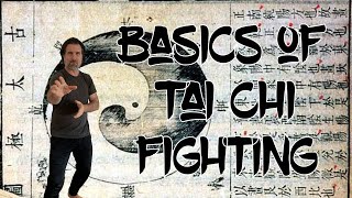 Basics of Tai Chi Fighting 1 [upl. by Parrish]