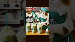 猫がスタバで働いてる世界線cat 保護猫 猫 ねこStarbucks catlife kitten pet cute [upl. by Eisoj520]