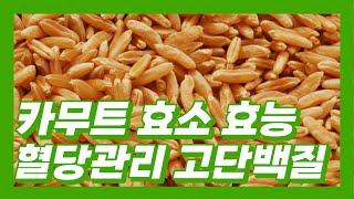 카무트 효소 효능 먹는법 및 부작용 총정리 [upl. by Steel]