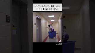 EXTREME DING DONG DITCH  reels funny pranks [upl. by Harrow]