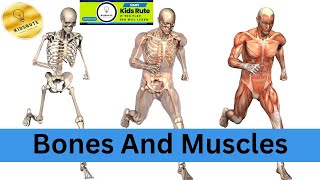 Bones And Muscles  Exercise of 2nd Class Science Chapter 2 [upl. by Tse851]