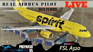 FlightSimLabs  REAL Airbus Pilot  P3DV5  As real as it gets [upl. by Rettig695]