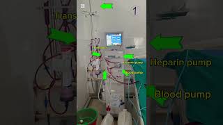 Part’s of dialysis machine hemodialysis hospital nursing [upl. by Neeoma]