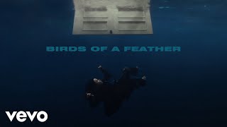 Billie Eilish  BIRDS OF A FEATHER Official Lyric Video [upl. by Bevvy563]