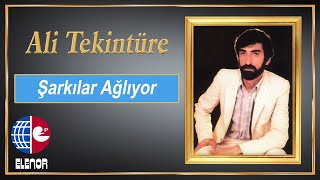 Ali tekintüre feat Adnan Tayfun Gültekin  Hasret Cana Yetince Gel [upl. by Lindeberg]