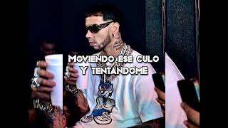 Anuel  Borracha y Loca Letra [upl. by Hylan790]