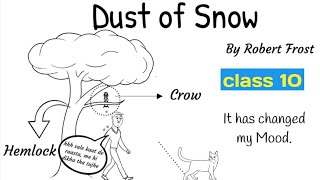 dust of snow class 10 in hindi  first flight poem dust of snow by robert frost rkkilines [upl. by Ylrebmyk]