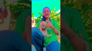 O Meri cuty song lipsing video with my rabbit 😍💫😍😍 Agar rabbit cute laga to comment Mein nice Likhna [upl. by Sev]