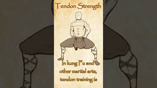 Tendon Strength [upl. by Ebocaj372]