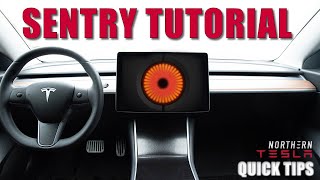 Tesla Quick Tip  Sentry Mode Tutorial [upl. by Sukhum112]