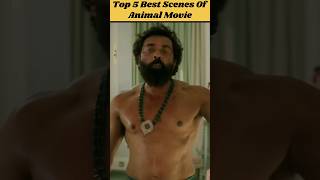 Top 5 Best Scenes Of Animal Movieshorts bollywoodmoviescenes [upl. by Lorollas714]