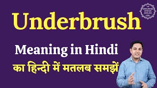 Underbrush meaning in Hindi  Underbrush ka matlab kya hota hai  English to hindi [upl. by Yelena460]