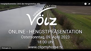 Hengstpräsentation 2023 der Hengststation Völz [upl. by Bennie688]