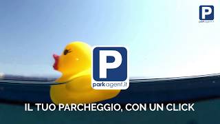 Parcheggio Crociere Navetta Gratuita Videosorvegliato Assicurato Custodito [upl. by Fennelly504]