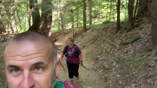 Shelter House Trail  Mohican State Park [upl. by Corb]