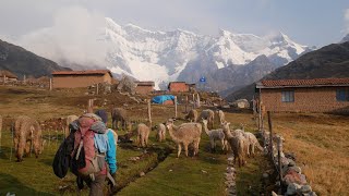 Peru Cordillera Vilcanota Ausangate Trek mit quotKorridorquot Individual Trekking Solo Hike [upl. by Shelah8]