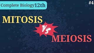 Difference between Mitosis and Meiosis  Class 12th  Biology [upl. by Salohcin984]