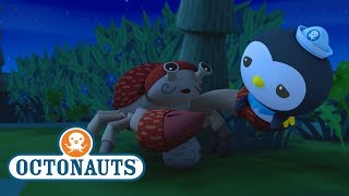 Octonauts  Solving Problems  Ocean Adventures  Cartoons for Kids  Underwater Sea Education [upl. by Yntruoc]