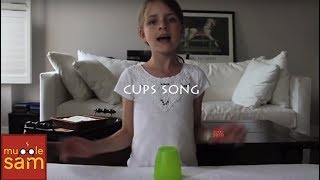 CUP SONG  Anna Kendrick  Pitch Perfect quotWhen Im Gonequot Live A Capella Cover Mugglesam [upl. by Acirederf]