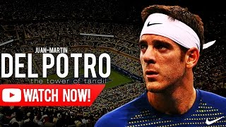 Juan Martin Del Potro  The Tower Of Tandil ᴴᴰ [upl. by Hannon]