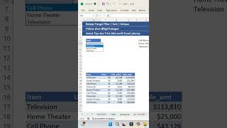 Fungsi SORT FILTER amp UNIQUE di Microsoft Excel  Egis Tubagus [upl. by Bink31]