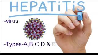 hepatitis b treatment in hindi hepatitis b ka upay in hindi [upl. by Ainex]