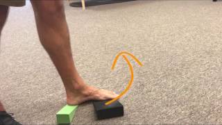 Supination Exercise [upl. by Constantin]