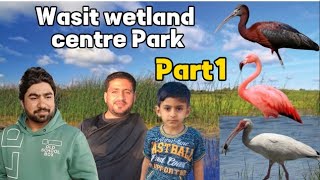 Wasit wetland centre park Sharjah amezing part 1 [upl. by Aniaz]