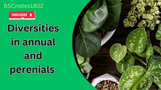 diversities in annual plants and perenial plants  bsc 1 st year  morphology in plants [upl. by Inaluahek842]