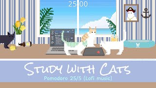 Study with Cats 🌴 Pomodoro Timer 255  Summer Study Sessions at the Beach House  Chill lofi music♡ [upl. by Lion]