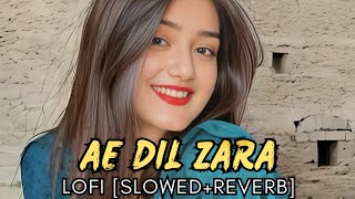 Ae Dil Zara new hindi lofi song official video  Lofi Zone Hindi hindilofisongs [upl. by Rekab428]