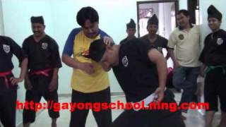 Silat Seni Gayong Malaysia  Secret of art part 11 [upl. by Ahsyas]