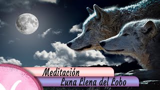 Meditación Luna Llena Del Lobo [upl. by Merrili777]