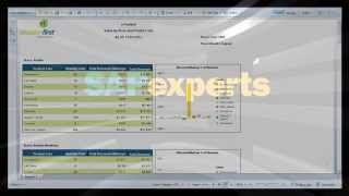 SAP BusinessObjects Web Intelligence Corporate Template Demo [upl. by Osicnarf]