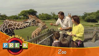 Zoo  Virtual Field Trip  KidVision PreK [upl. by Marala]