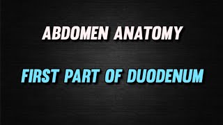 DUODENUM  FIRST PART OF DUODENUM  ABDOMEN ANATOMY  BDC  ftxenos [upl. by Kaplan]