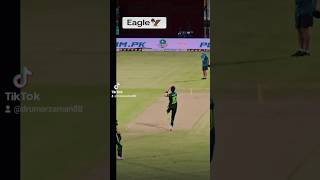 Eagle 🦅Shaheen Afrdi shaheenafridi cricket pakistan india worldcup t20worldcup babarazam [upl. by Pollyanna]