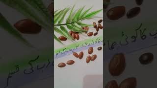 calligraphy moulaya Salli wasallam naat [upl. by Newcomer128]